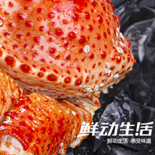 深圳小程序開發